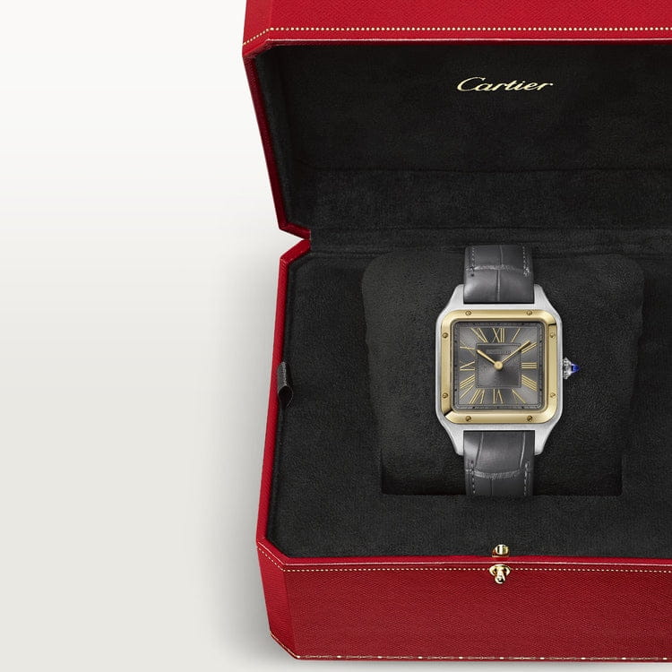 Montre Cartier | Montre Homme 32mm Cartier Santos-Dumont Large Or 2 Tons