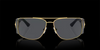 Lunette Versace | Lunette Homme Versace Future 0VE2163 Or Jaune