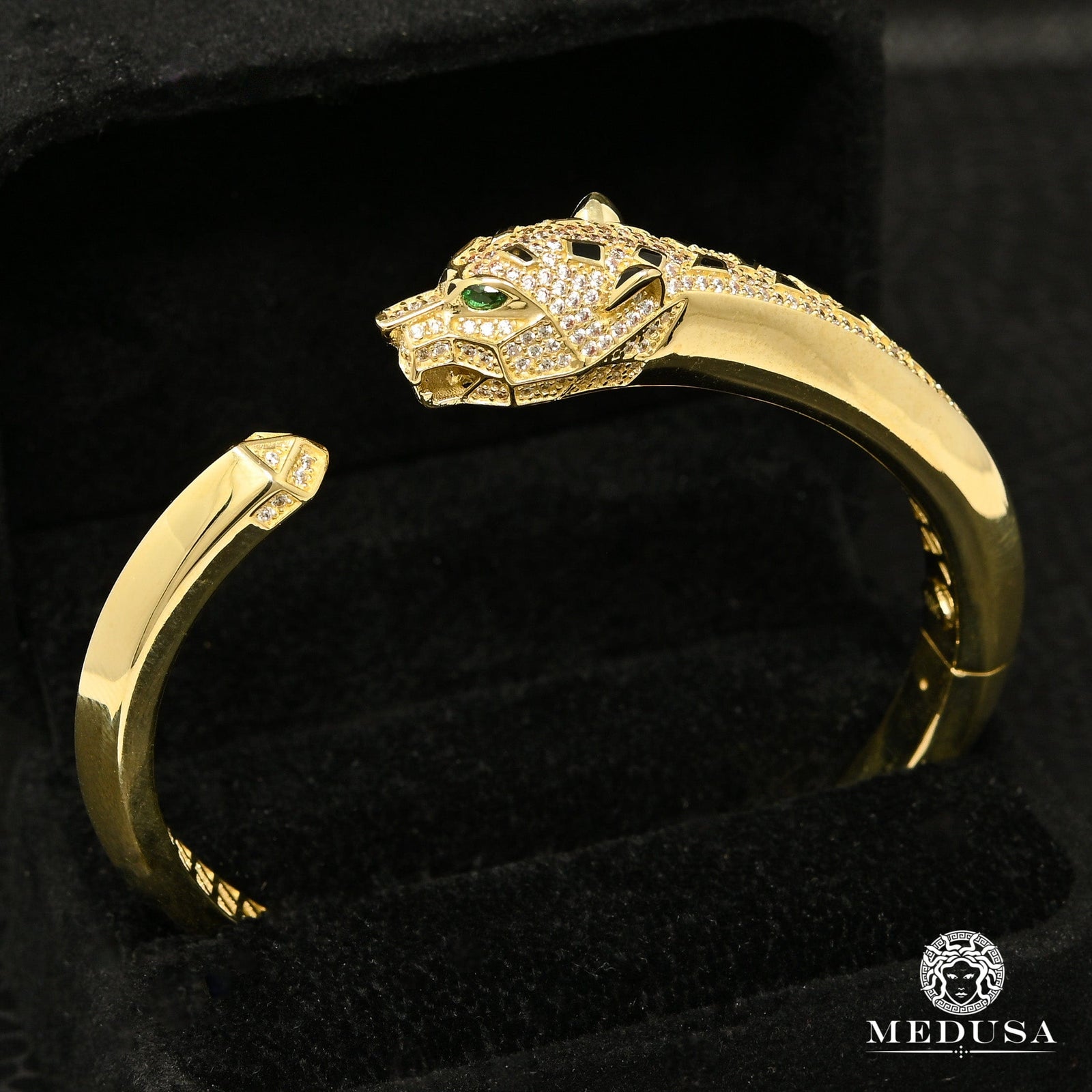 Bangle X10 - Tiger