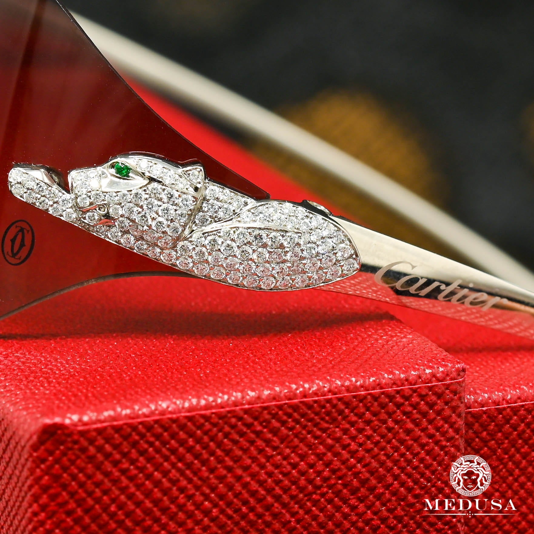 Lunette Cartier | Lunette Homme Cartier Panthère | Silver Stainless